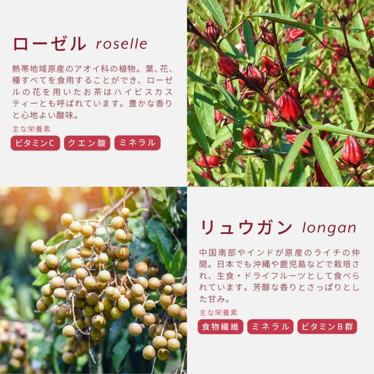 和漢×乳酸菌 Labatee（ラバティー）食べる和漢茶シリーズ