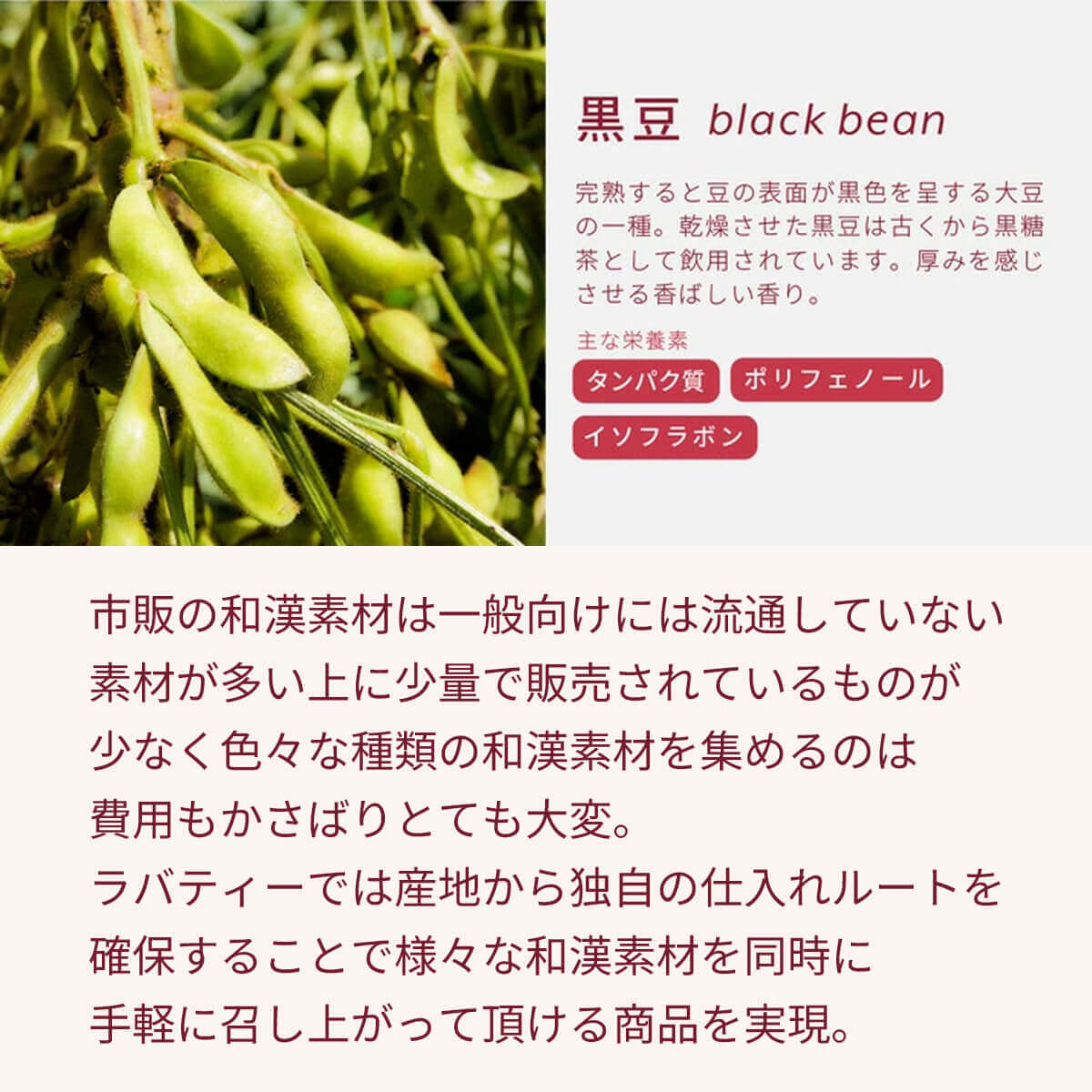 和漢×乳酸菌 Labatee（ラバティー）食べる和漢茶シリーズ